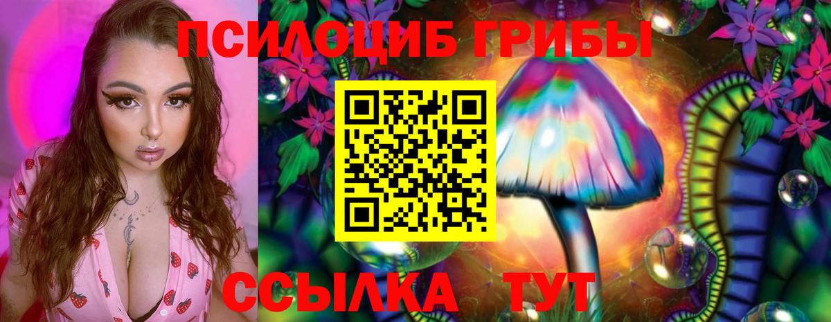 Галлюциногенные грибы MAGIC MUSHROOMS Всеволожск